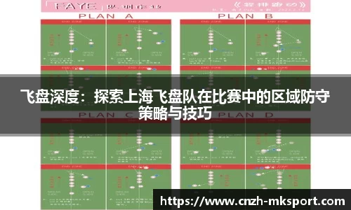 飞盘深度:探索上海飞盘队在比赛中的区域防守策略与技巧
